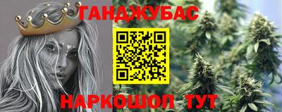 прущие грибы Комсомольск-на-Амуре
